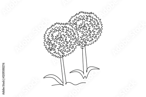 Continuous one line drawing beauty fresh allium giganteum for home decor wall art poster print. Decorative globemaster flower for floral card frame. Single line draw design vector graphic illustration