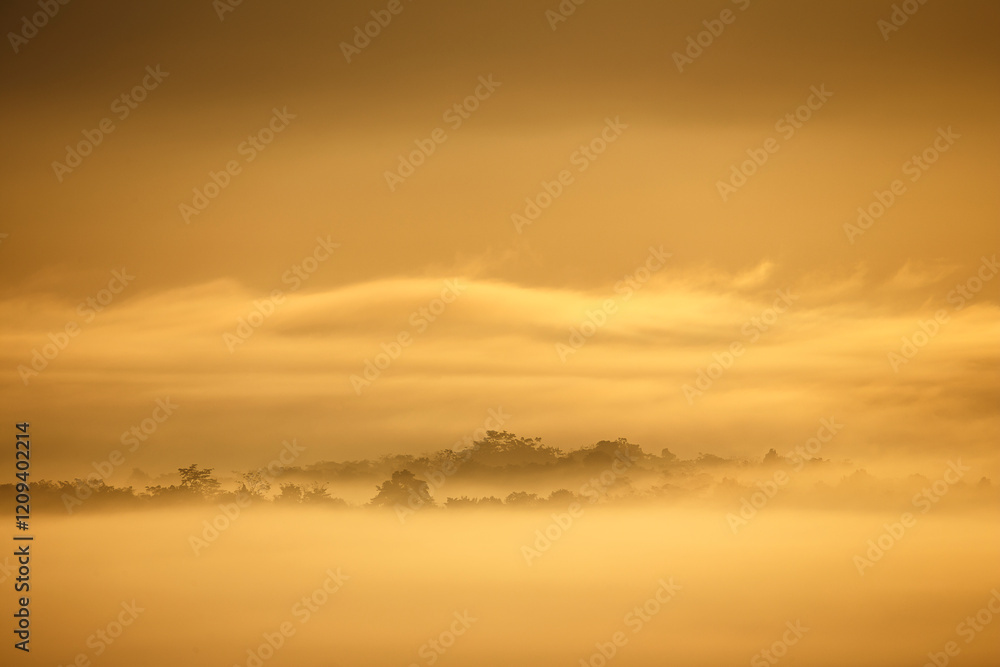 Golden Hour Fog, A mystical landscape is painted in the warm, golden hues of sunrise or sunset. Layers of fog obscure the land, creating a sense of serenity and mystery. Golden Hour Fog, A mystical landscape is painted in the warm, golden hues of sunrise or sunset. Layers of fog obscure the land, creating a sense of serenity and mystery.