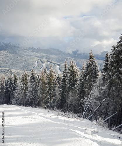 Ski slope surrounded by snow-covered pine trees. Gorgany mountain range panorama in in the background. photo