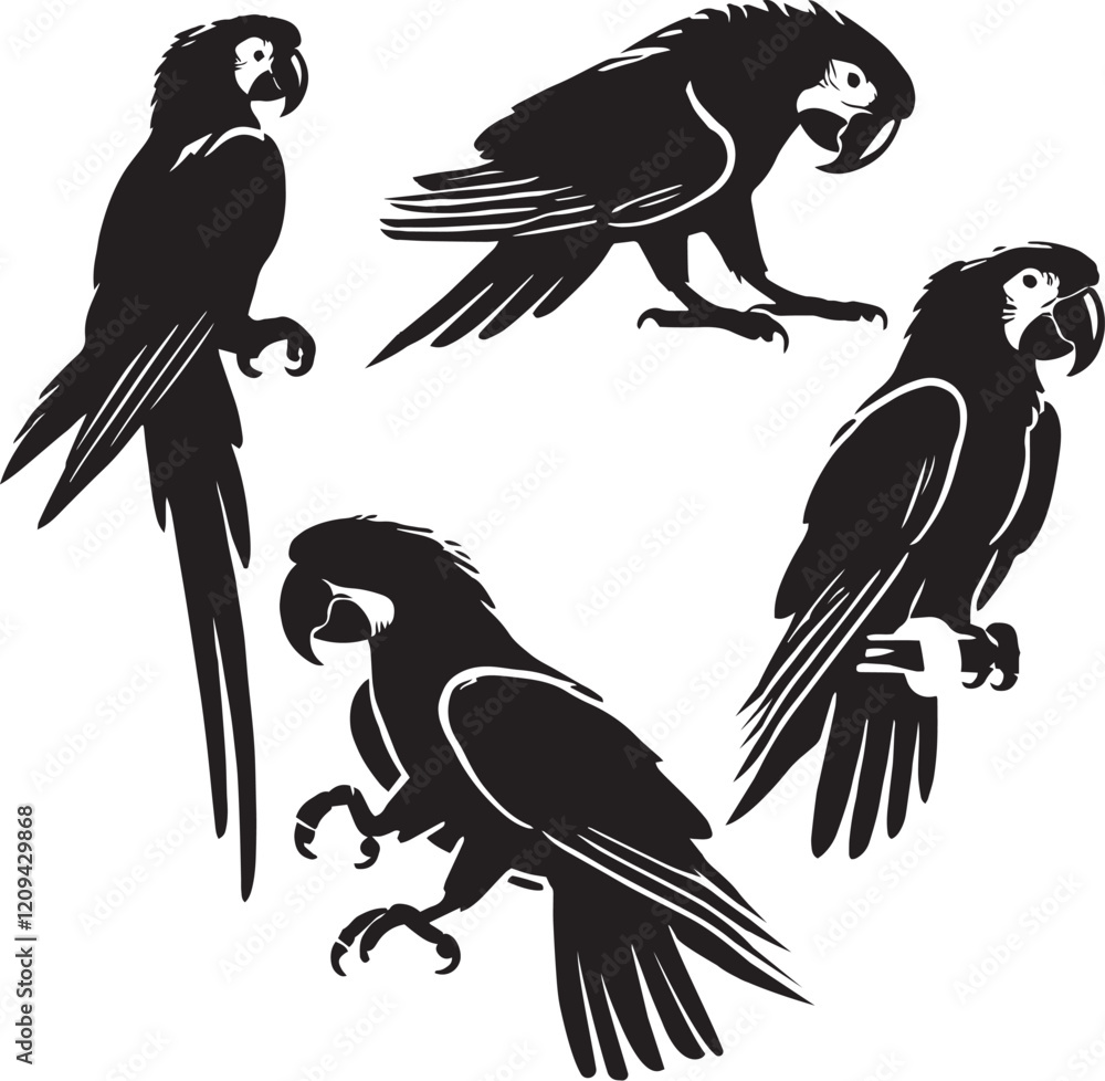 silhouette set of scarlet macaw sitting poses,resting bird poses, bird sitting illustration, black and white macaw, silhouette set of scarlet macaw sitting poses,resting bird poses, bird sitting illustration, black and white macaw,