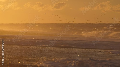 Stormy sea with seagulls during a beautiful bright sunset