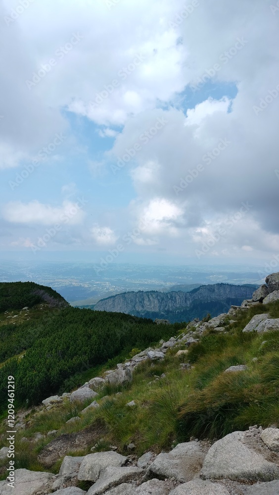 Obraz premium mountains in summer