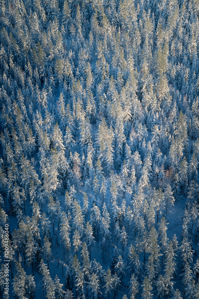 Majestic Winter Aerial Landscape Above Pristine Swedish Lapland Wilderness Majestic Winter Aerial Landscape Above Pristine Swedish Lapland Wilderness