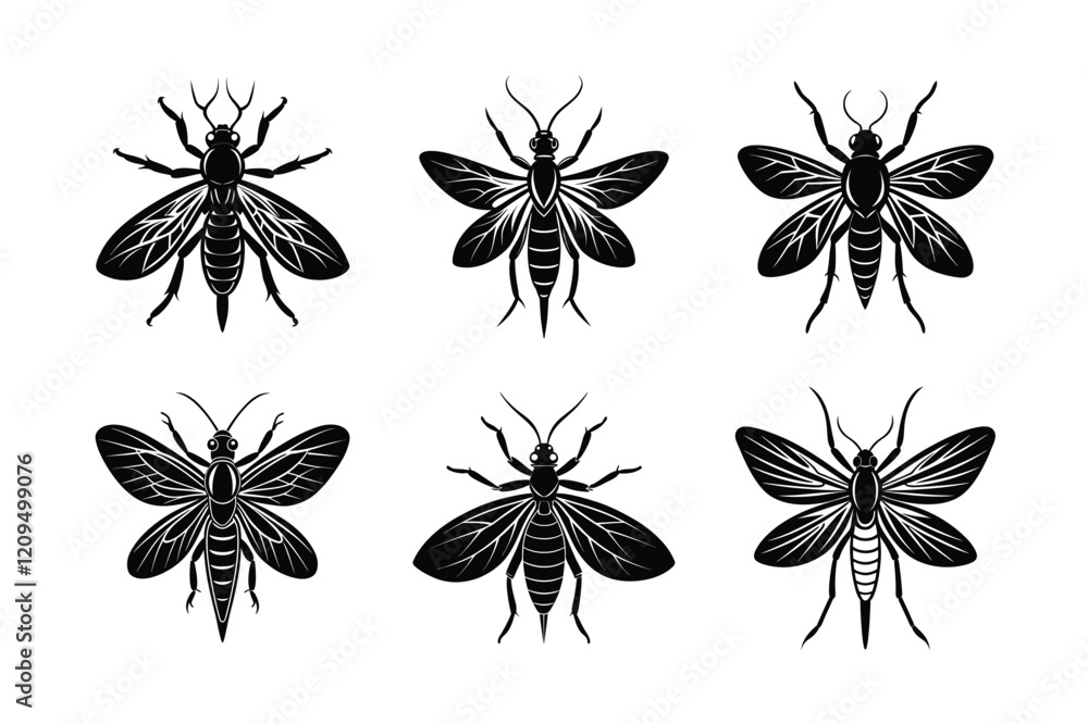 Naklejka premium Pterygote silhouette vector set with white background