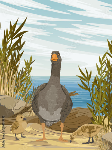 Greylag goose with two goslings standing on sandy river bank. Realistic vector vertical landscape