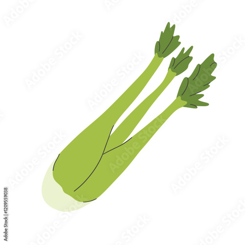 Bunch of fresh celery stalks with leaf. Raw green vegetable. Crunchy healthy snack. Flat vector illustration of vegetarian superfood isolated on white. Vector illustration