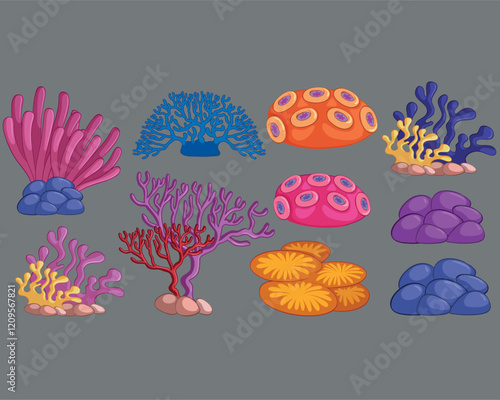 Different types of coral reef vector illustration