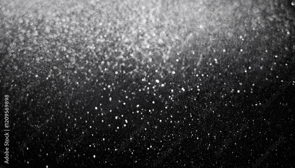 Shades of Contrast: A Grainy Black and White Backdrop Shades of Contrast: A Grainy Black and White Backdrop