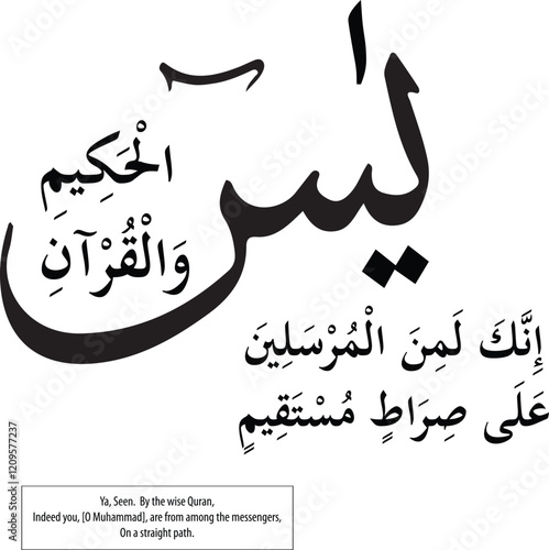 Surah Yasin with translation vector art