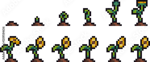 pixel art yellow flower dandelion growth stages sequence sprouting 8 bit