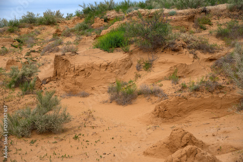 Republic of Kalmykia, picturesque landscape. Russia photo