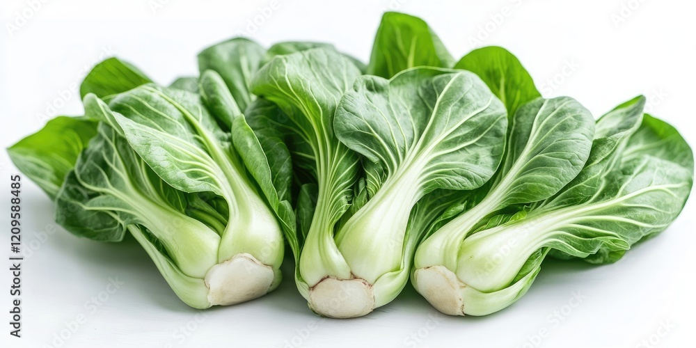 Fresh vibrant green bok choy with crisp white stems arranged side by side against a clean white background creating a clean aesthetic. Fresh vibrant green bok choy with crisp white stems arranged side by side against a clean white background creating a clean aesthetic.