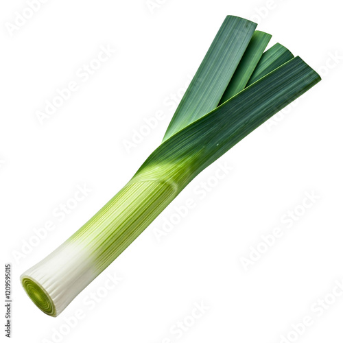 leek isolated on transparent background