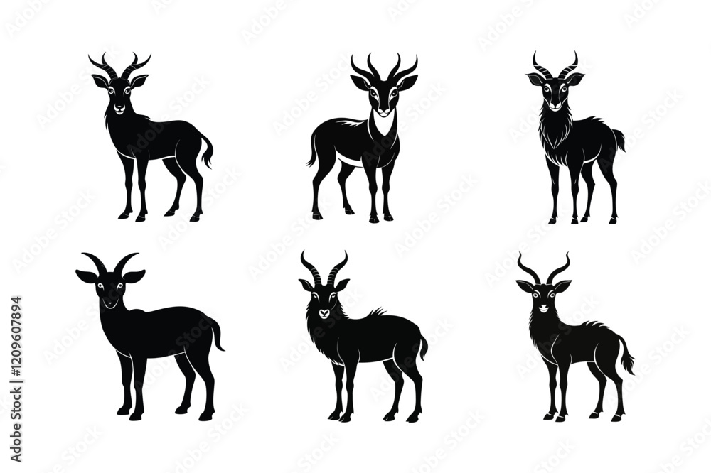 Tibetan Antelope (Pantholops hodgsonii) mammal animal, labeled silhouette vector art illustration.
