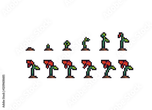 pixel art red poppy flower growth stages sequence sprouting 8 bit retro