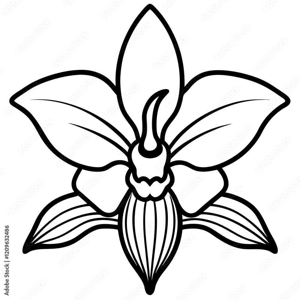 Orchid Oasis line art art vector Orchid Oasis line art art vector
