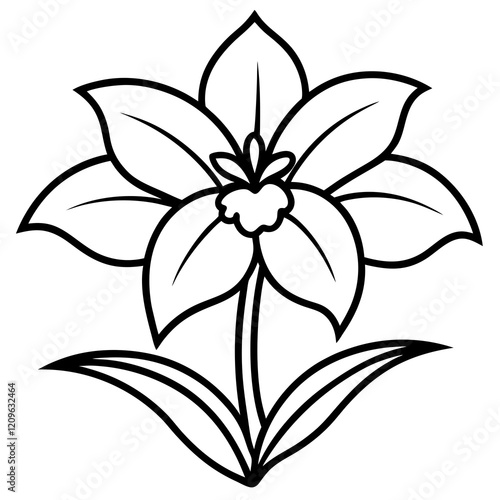 Orchid Oasis line art art vector