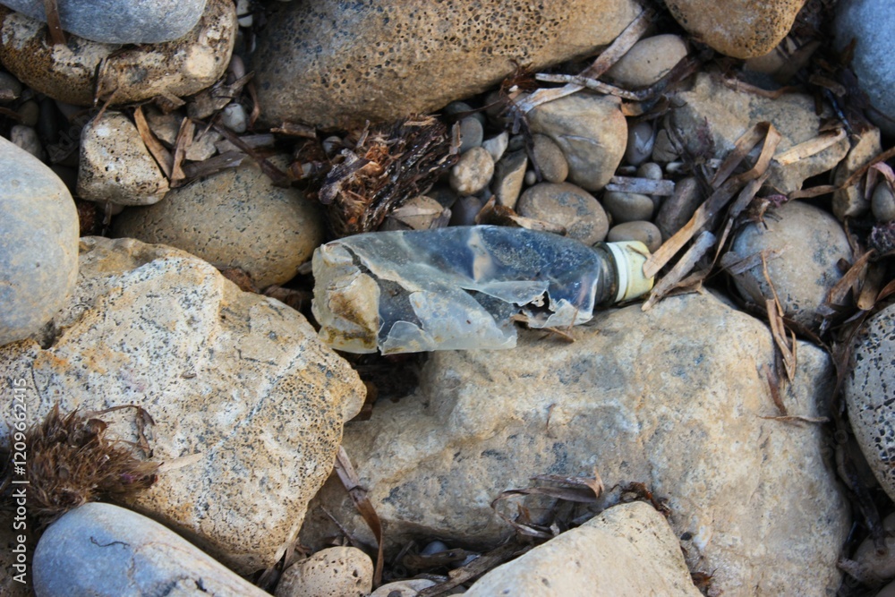 Fototapeta premium beach pollution with plastic waste