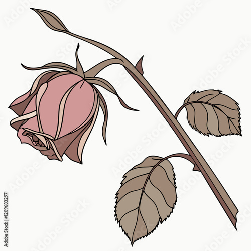 withered rose illustration vector