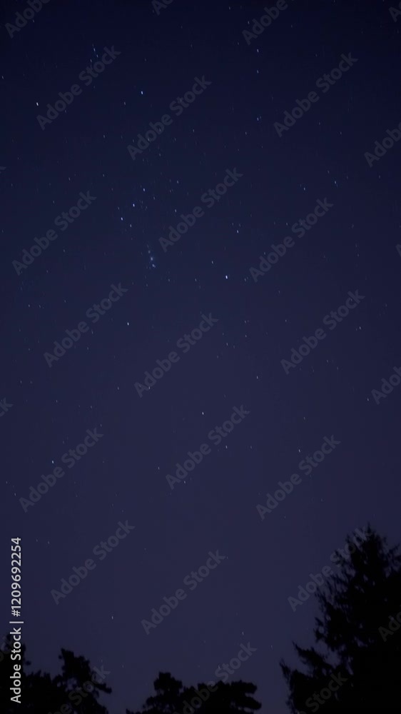Milky Way stars and Orion constellation seen as realistic view from the eye of the observer. Milky Way stars and Orion constellation seen as realistic view from the eye of the observer.