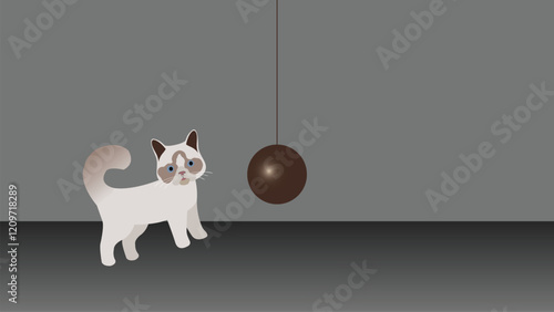 Playful Cat Scene with a Pet Playing with a Toy Ball in a Minimalist Home Setting