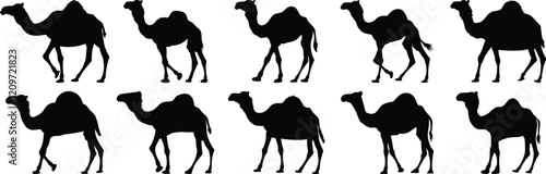 Camel silhouette set vector design big pack of desert illustration and icon