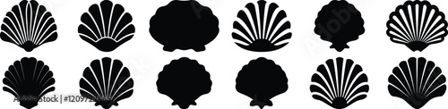 Seashell silhouette set vector design big pack of ocean illustration and icon