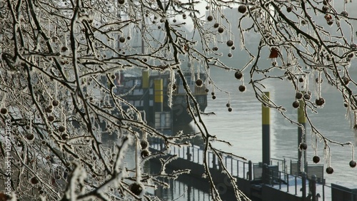 Winter-1