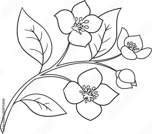  Jasmine Flower 
