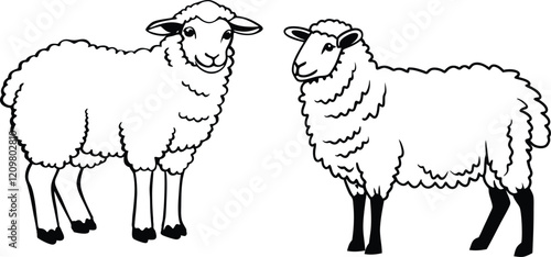 Sheep bundle line art and illustrator eps