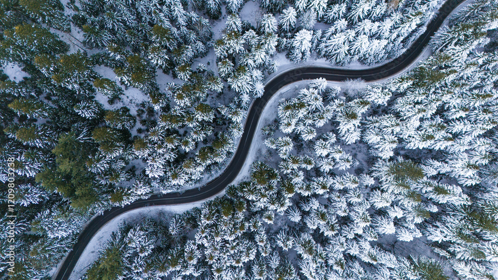 Aerial drone View of Snowy Forest with Curvy Road Aerial drone View of Snowy Forest with Curvy Road