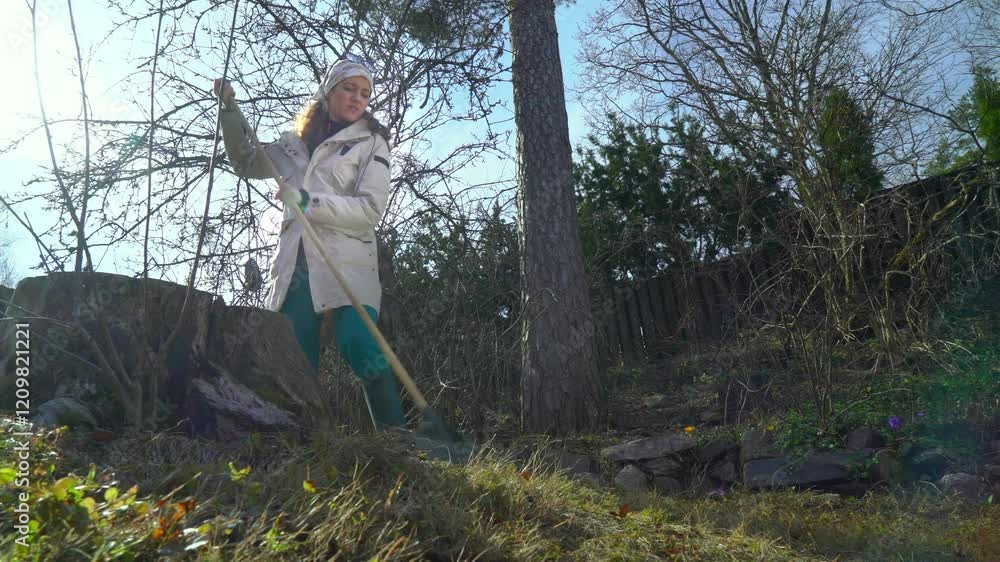 A woman in outdoor clothing raking leaves and dead grass clearing a garden in early spring. The scene with natural spring sunlight, seasonal yard work and connection with nature. A woman in outdoor clothing raking leaves and dead grass clearing a garden in early spring. The scene with natural spring sunlight, seasonal yard work and connection with nature.