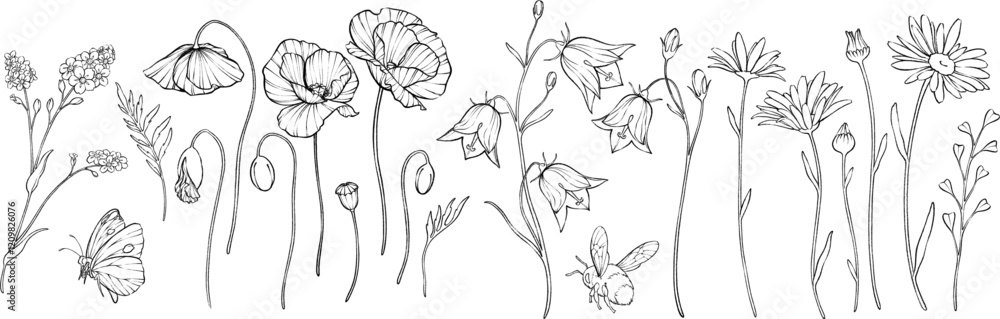 Vector set of outline wildflowers. Engraving chamomile, poppy, bellflower, forget-me-not. Vector set of outline wildflowers. Engraving chamomile, poppy, bellflower, forget-me-not.