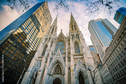 Photography St. Patrick's Cathedral. New York.
