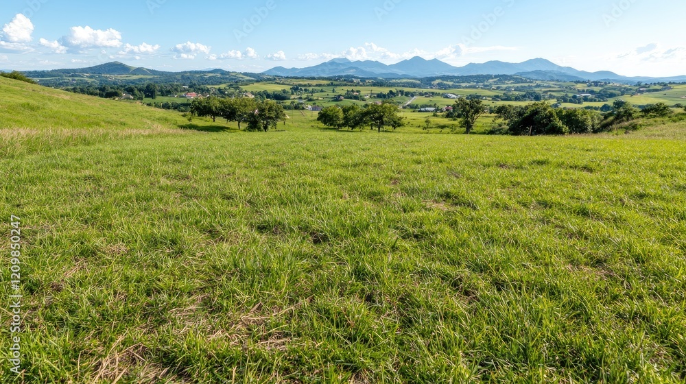 Fototapeta premium Sunny hillside pasture, mountain view, rural landscape, idyllic scenery; travel poster