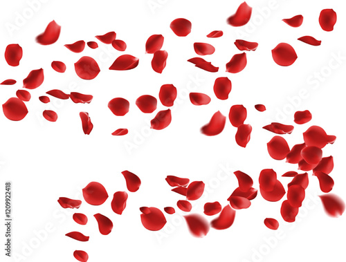 February 14 Valentine's day,Rose petals wedding or marriage background. holiday decoration. Invitation card, celebration party design