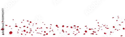 Beautiful Rose Blur Vector Panoramic Background. Beauty Cherry Design. Red Lotus Tender Wallpaper