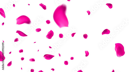  February 14 petals of a Light pink rose fly far into the distance. isolated background.