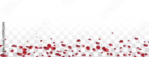 Falling red rose petals seasonal confetti, blossom elements flying isolated. Abstract floral background with beauty roses petal. design for greeting cards. Rose petals fall to the floor