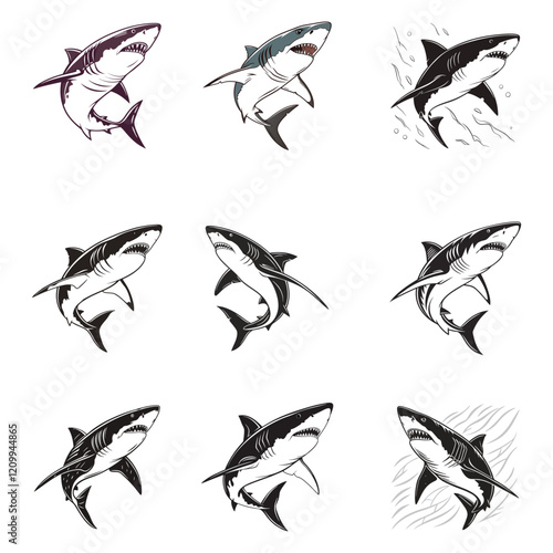 Great shark on white background