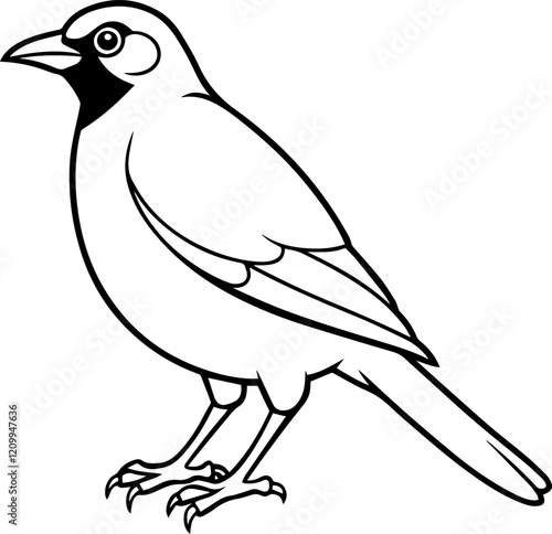 myna bird outline vector illustration photo