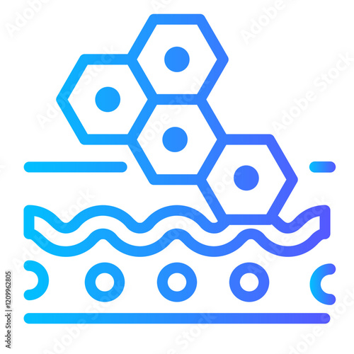 skin cell