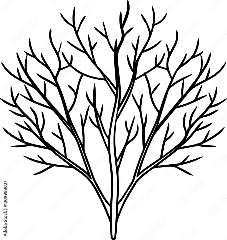 tree branches outline vector illustration tree branches outline vector illustration