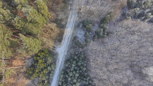 Obraz na płótnie Wald im Winter w salonie