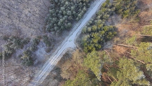Obraz na płótnie Wald im Winter w salonie