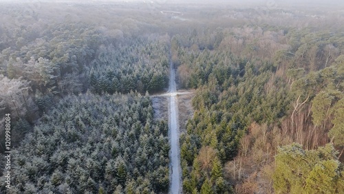Obraz na płótnie Wald im Winter w salonie