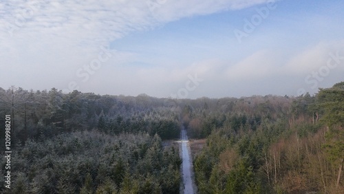 Obraz na płótnie Wald im Winter w salonie