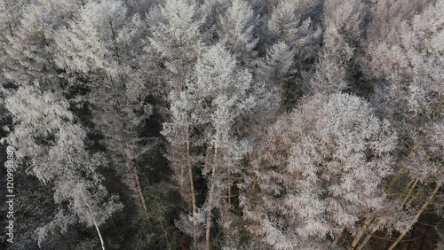 Obraz na płótnie Wald Winter Vogelperspektive w salonie