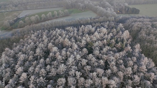 Obraz na płótnie Wald Winter Vogelperspektive w salonie