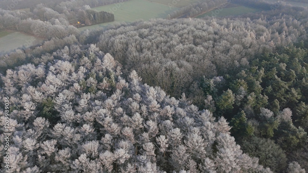 Wald Winter Vogelperspektive